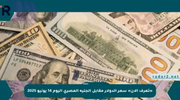 «تعرف الآن» سعر الدولار مقابل الجنيه المصري اليوم 14 يونيو 2025